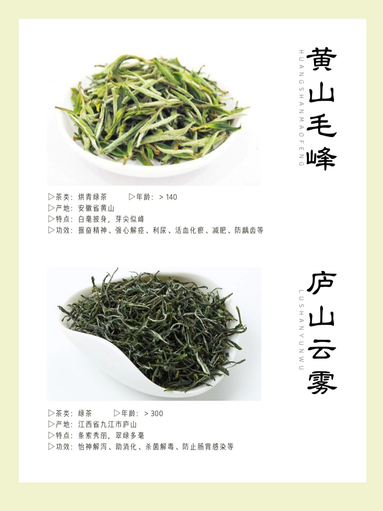十大茶叶（中国十大名茶，你喝过几种？）-第3张图片