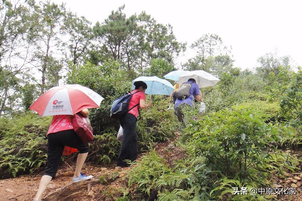 重阳节登高（重阳节为什么要登高呢？）-第1张图片