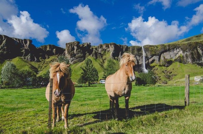 去冰岛旅游要多少钱？（去冰岛旅行大概要花多少钱？）-第26张图片