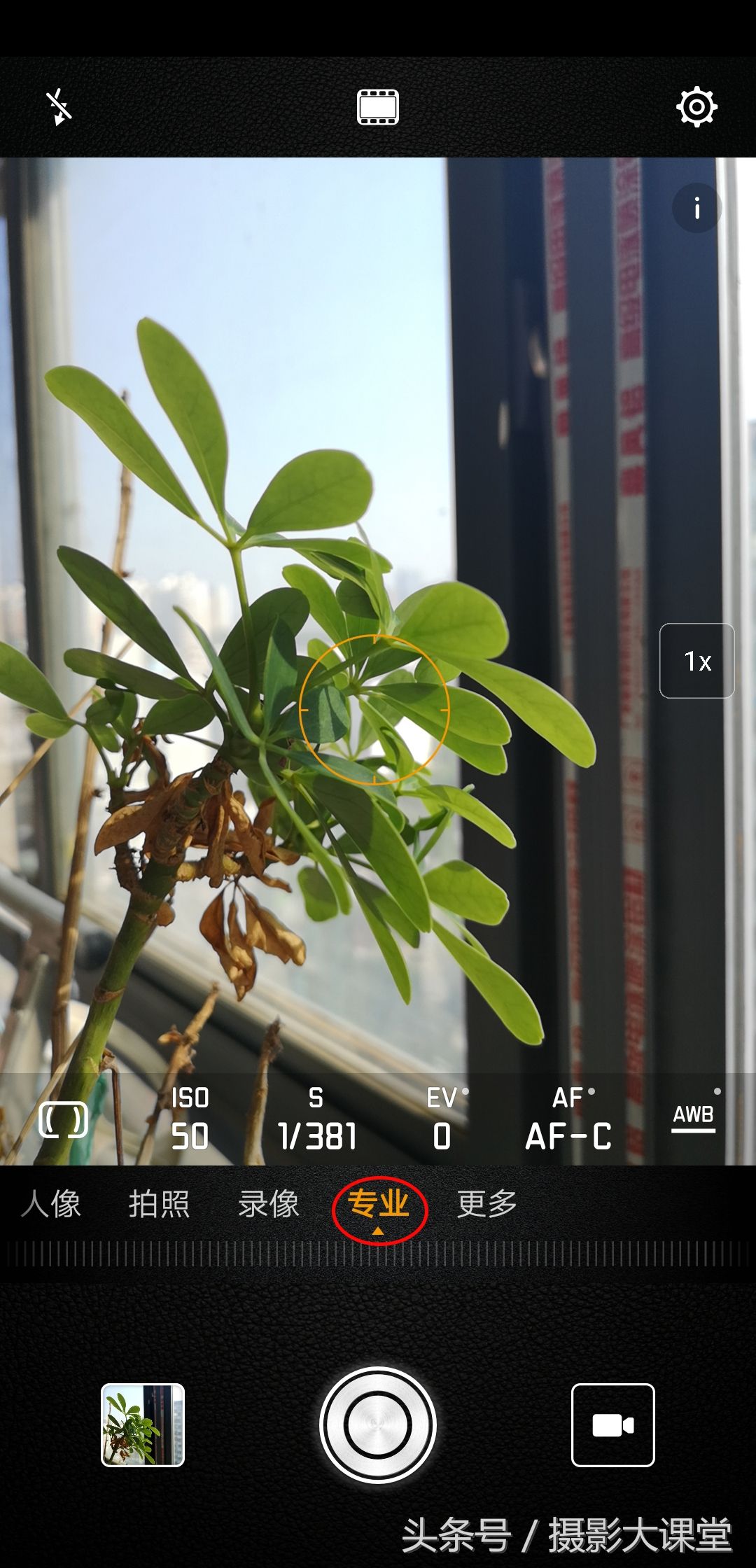 傻瓜照相机(傻瓜相机怎么使用最好 )-第2张图片 傻瓜照相机(傻瓜相机怎么使用最好 )-第2张图片