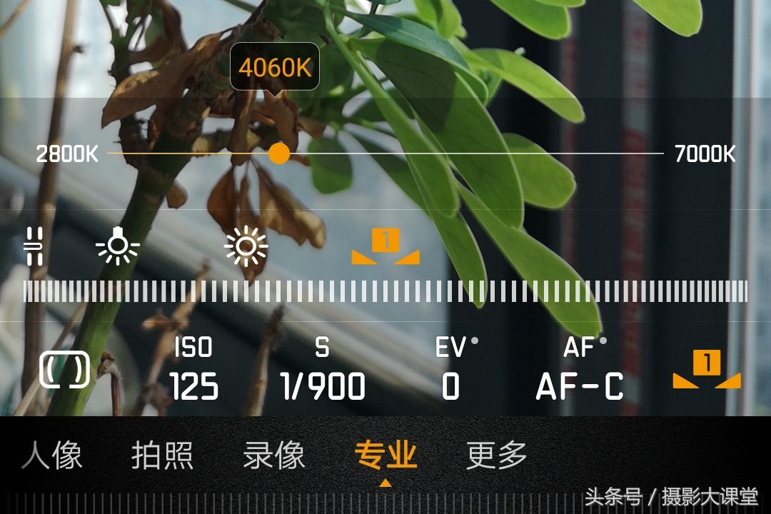 傻瓜照相机(傻瓜相机怎么使用最好 )-第4张图片 傻瓜照相机(傻瓜相机怎么使用最好 )-第4张图片