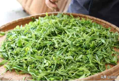 黄山毛峰功效!(黄山毛峰的传说由来)-第1张图片 黄山毛峰功效!(黄山毛峰的传说由来)-第1张图片