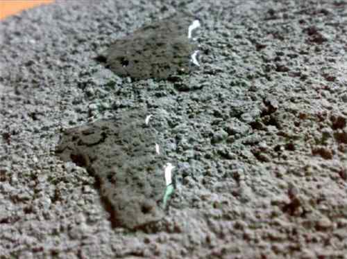 m7 5水泥砂浆配合比（水泥砂浆有哪些用途）-第3张图片