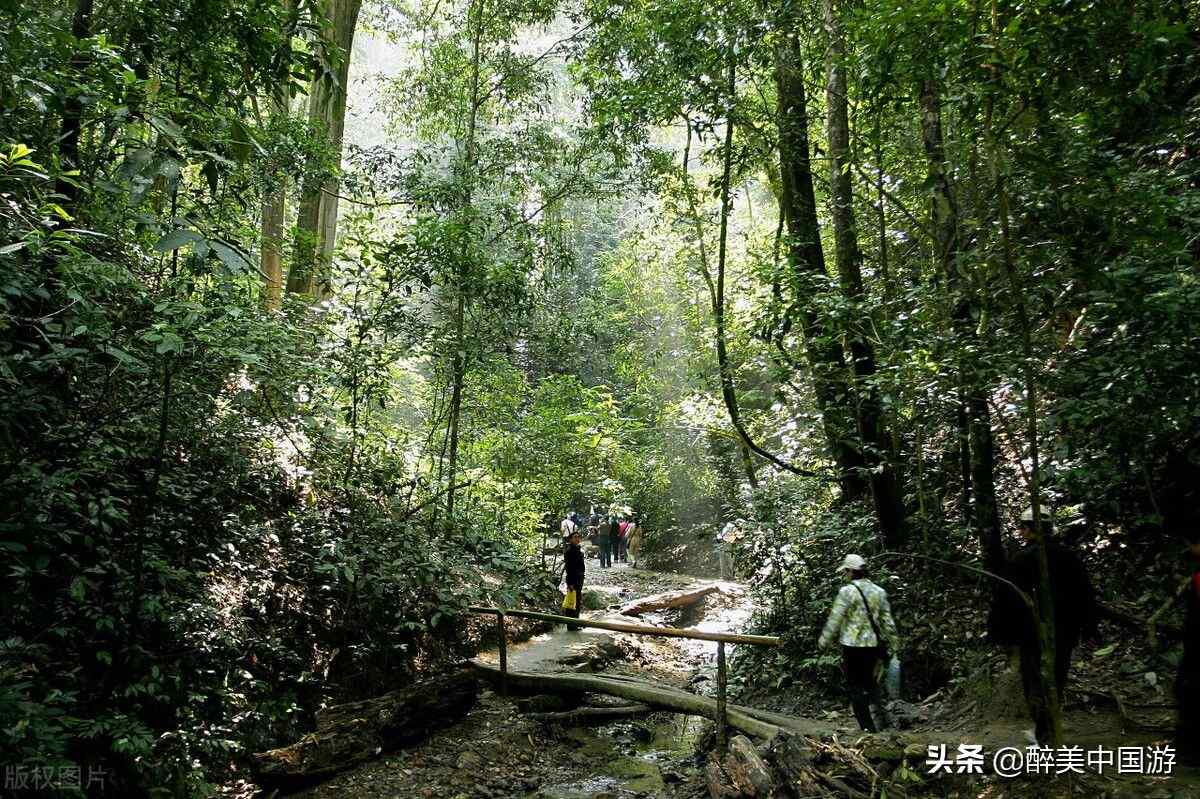 西双版纳的旅游景点（西双版纳主要景点）-第1张图片