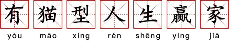 90后的特点（细数90后十大特征）-第8张图片