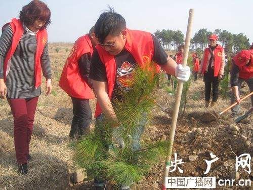 植树节的由来30字（植树节的来历由来起源20字）-第2张图片