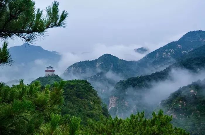 济南旅游景点大全（济南这些不得不去的旅游景点）-第9张图片