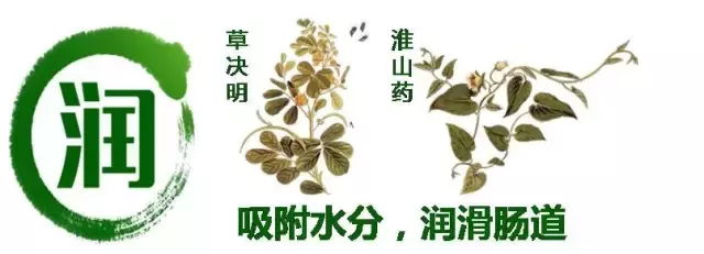 喝碧生源常润茶好吗？（碧生源常润茶的功效和作用）-第2张图片