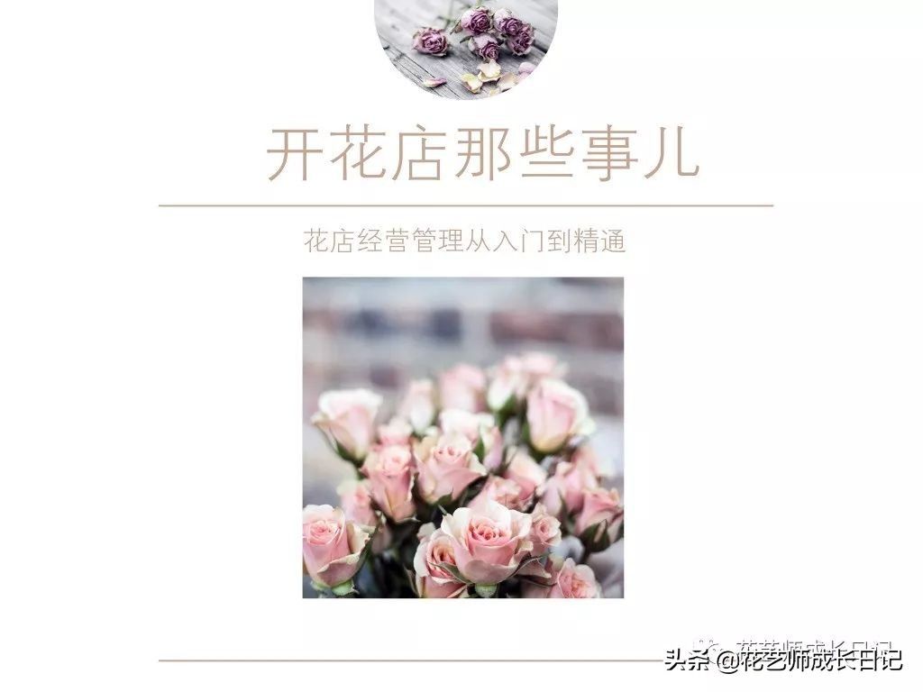 百合花语大全（百合花的花语大全）-第1张图片