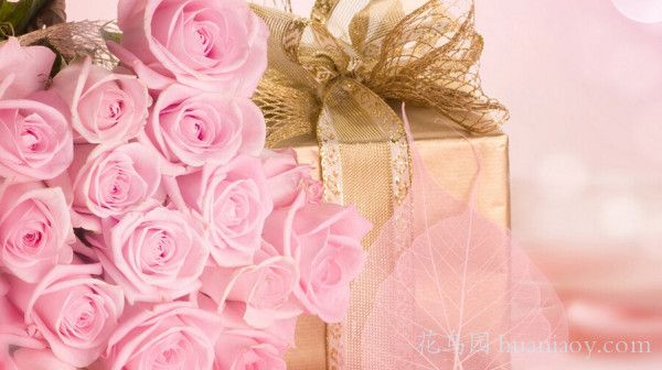 粉色玫瑰花代表什么意思（粉红色玫瑰花语）-第2张图片