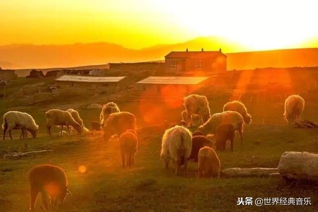 内蒙古草原歌曲大全（56首草原歌曲）-第26张图片