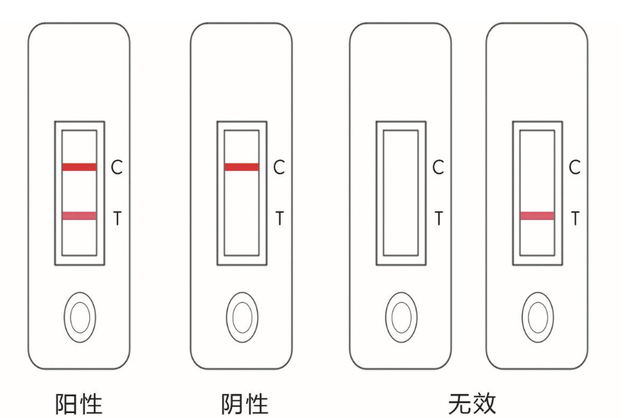 早孕试纸最早什么时候能测出（怀孕多少天能测出来？）-第2张图片