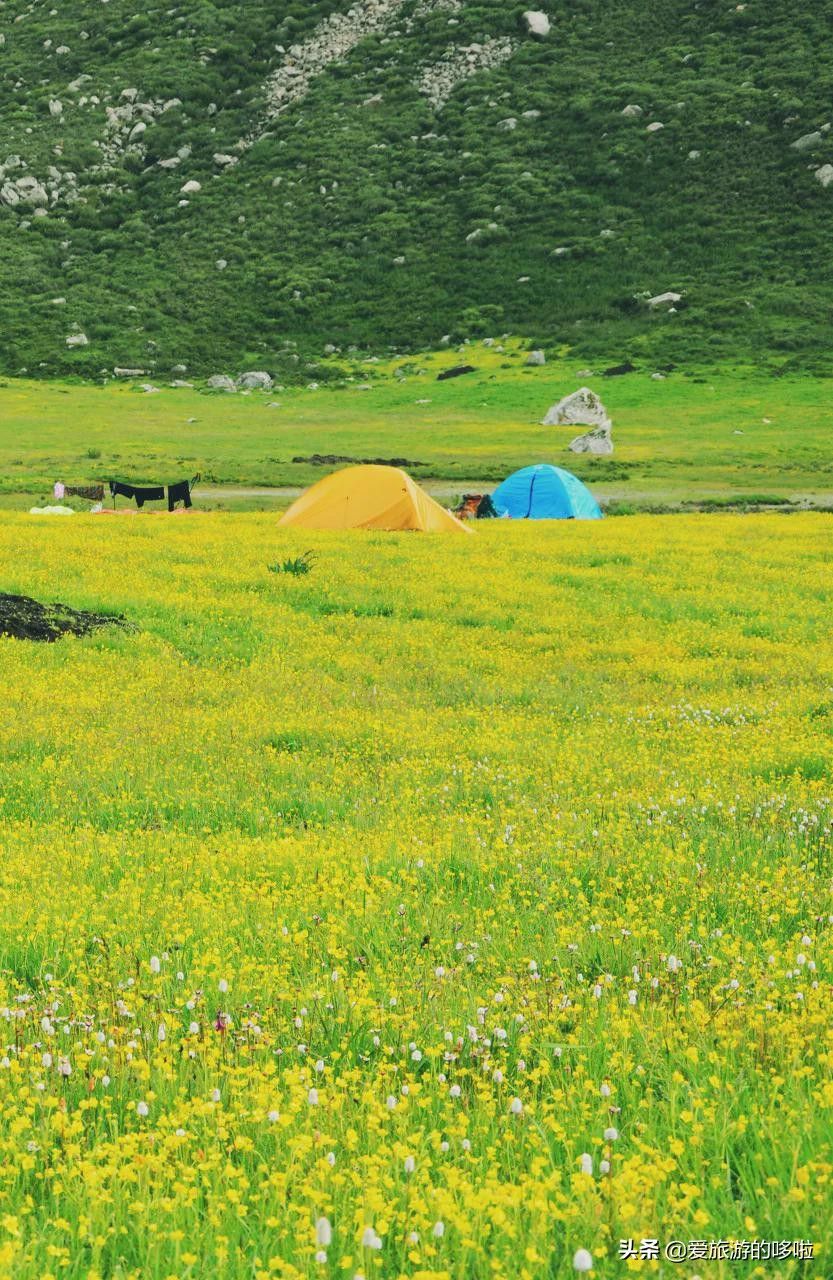 青海旅游景点大全（青海最值得去的30个地方）-第8张图片