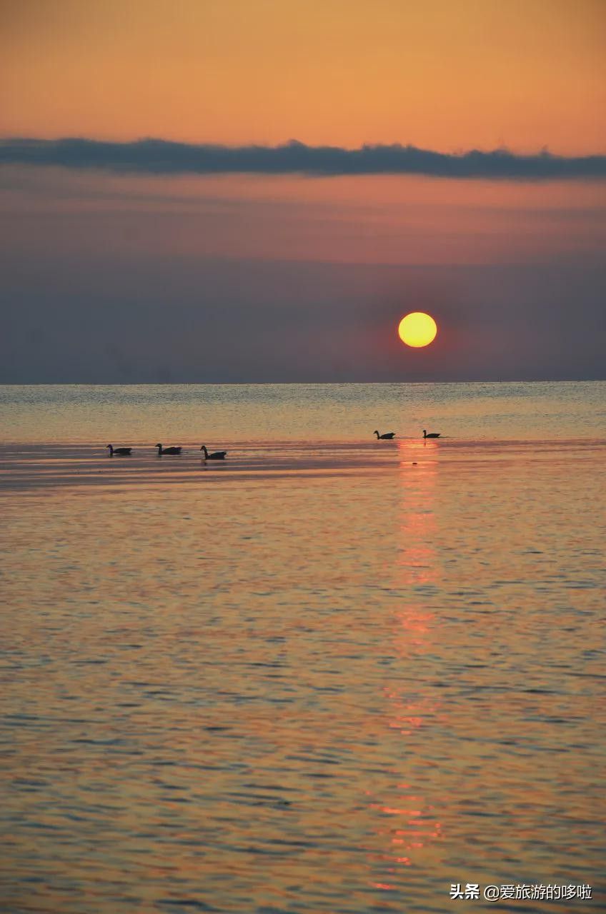 青海旅游景点大全（青海最值得去的30个地方）-第40张图片