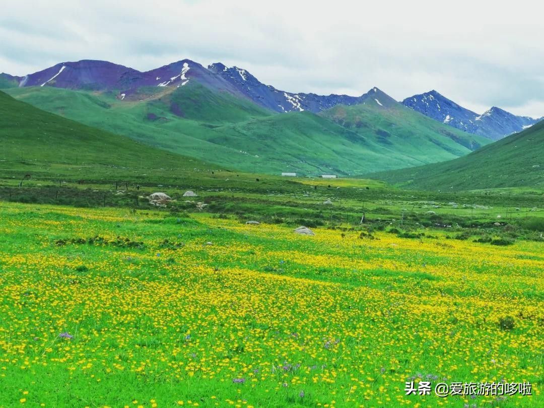 青海旅游景点大全（青海最值得去的30个地方）-第65张图片