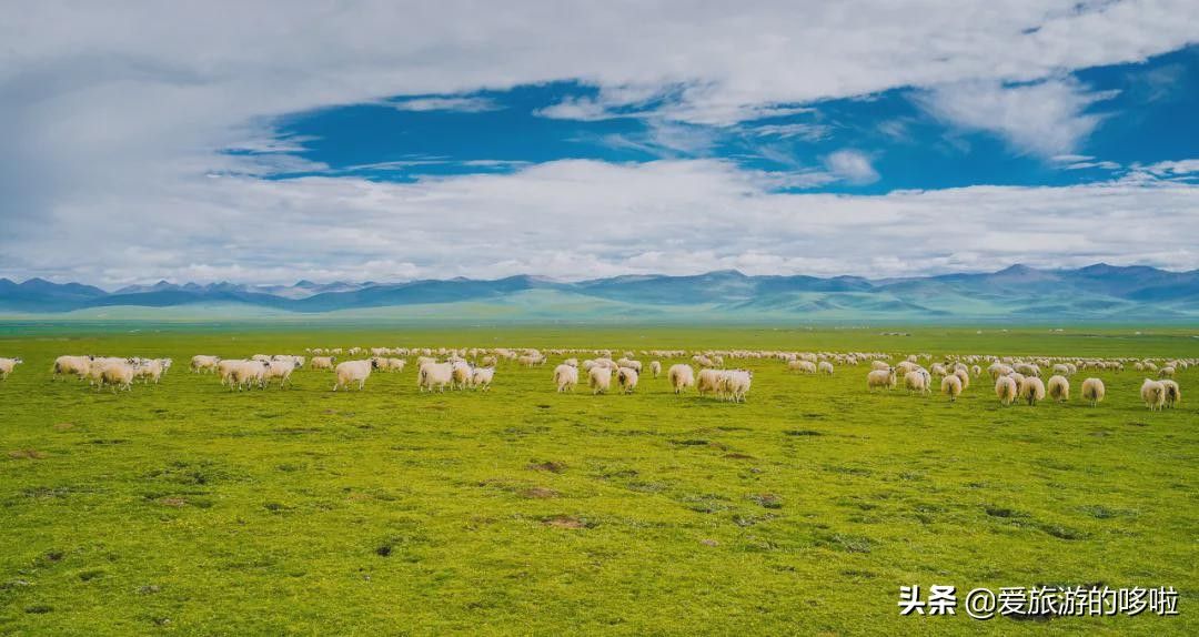 青海旅游景点大全（青海最值得去的30个地方）-第64张图片