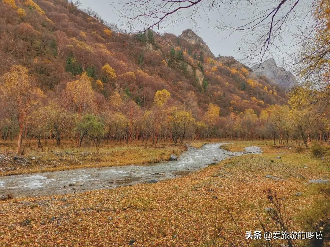 青海旅游景点大全（青海最值得去的30个地方）-第76张图片