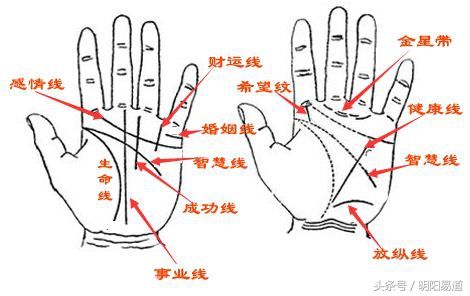 手纹看相（手相纹路看事业财运）-第1张图片