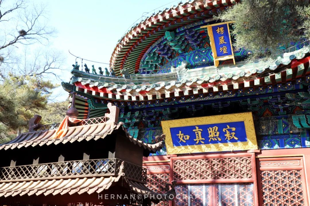北京冬日好去处(北京冬天里的10大宝地)-第18张图片 北京冬日好去处(北京冬天里的10大宝地)-第18张图片