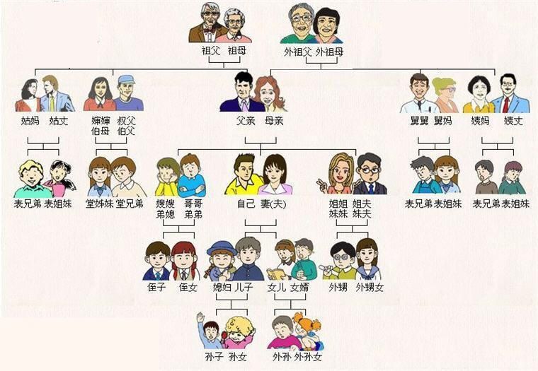 直系亲属包括哪些人（直系亲属的范围是哪些？）-第3张图片