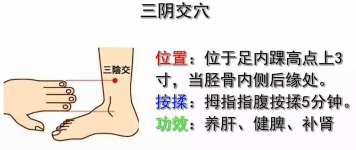 三阴交穴（美容养颜三阴交）-第4张图片