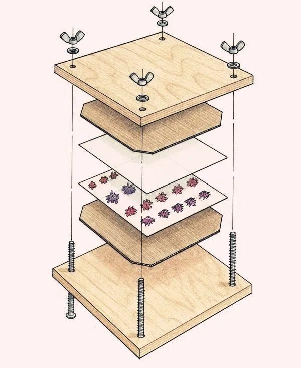 如何制作干花（最全的干花制作方法）-第23张图片