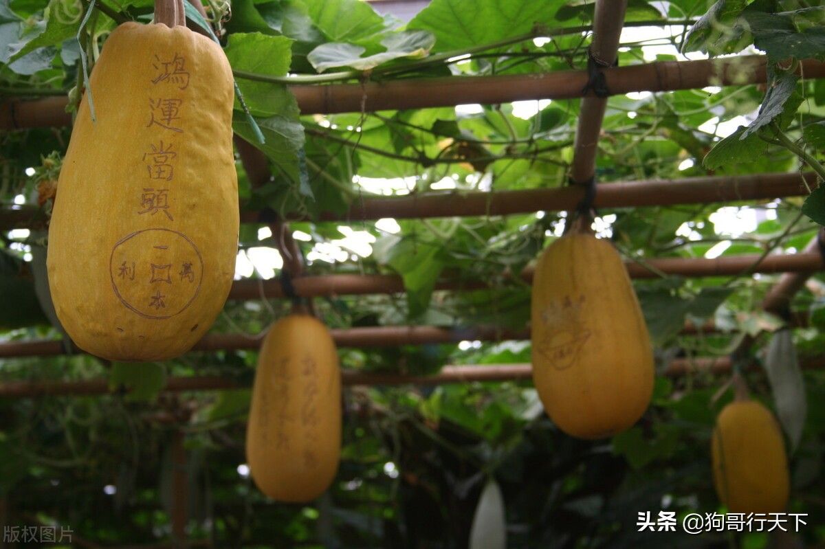 珠海旅游景点（珠海十大景点简单介绍）-第8张图片