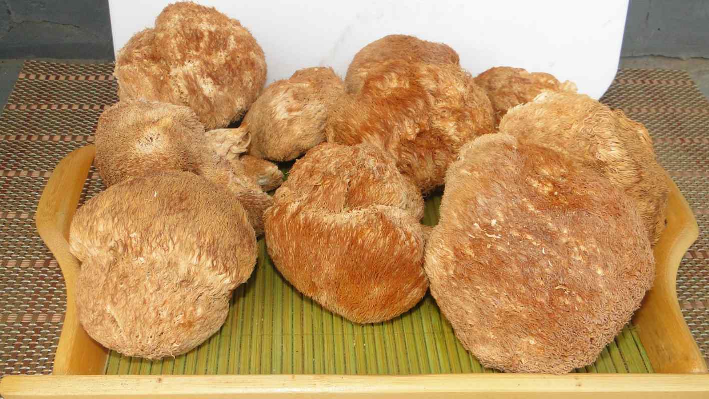 猴头菇的家常做法(猴头菇5种最好吃的做法)-第7张图片 猴头菇的家常做法(猴头菇5种最好吃的做法)-第7张图片