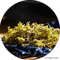 铁皮石斛花（铁皮石斛花功效大全）-第2张图片