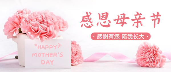 写给母亲的诗（献给母亲的诗）-第14张图片