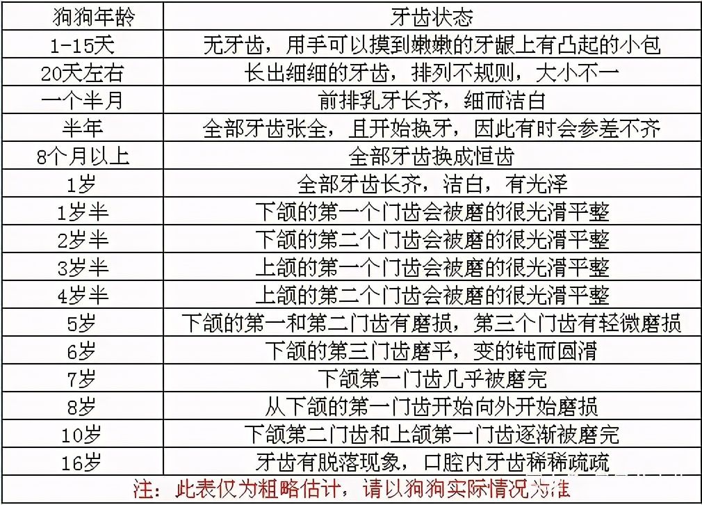 属狗的多大（奉上狗狗的年龄对照表）-第3张图片