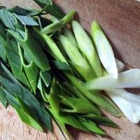 麂子肉怎么做好吃 (蒜炒麂子肉的做法步骤)-第3张图片 麂子肉怎么做好吃 (蒜炒麂子肉的做法步骤)-第3张图片