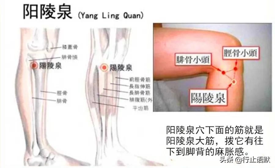 带状疱疹后遗症(带状疱疹后遗症的偏方 )-第4张图片