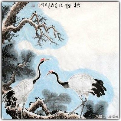 关于松树的诗句(描写松树的诗句)-第3张图片