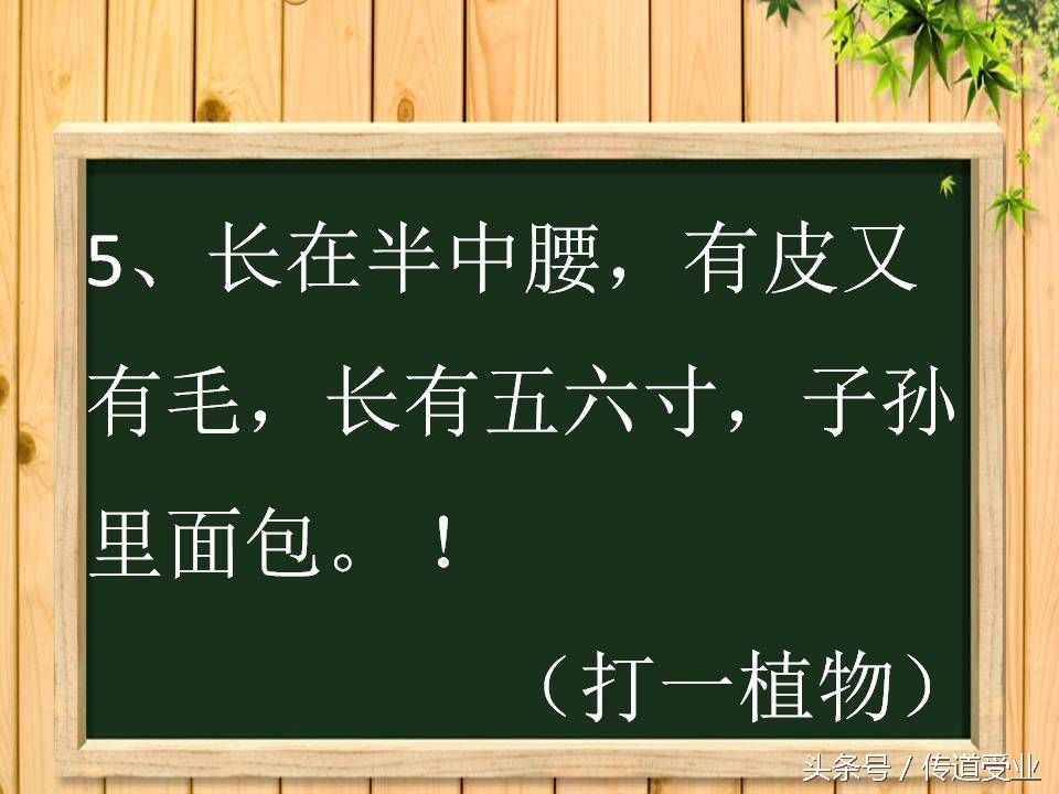 黄色脑筋急转弯（8道史上最污脑筋急转弯）-第5张图片