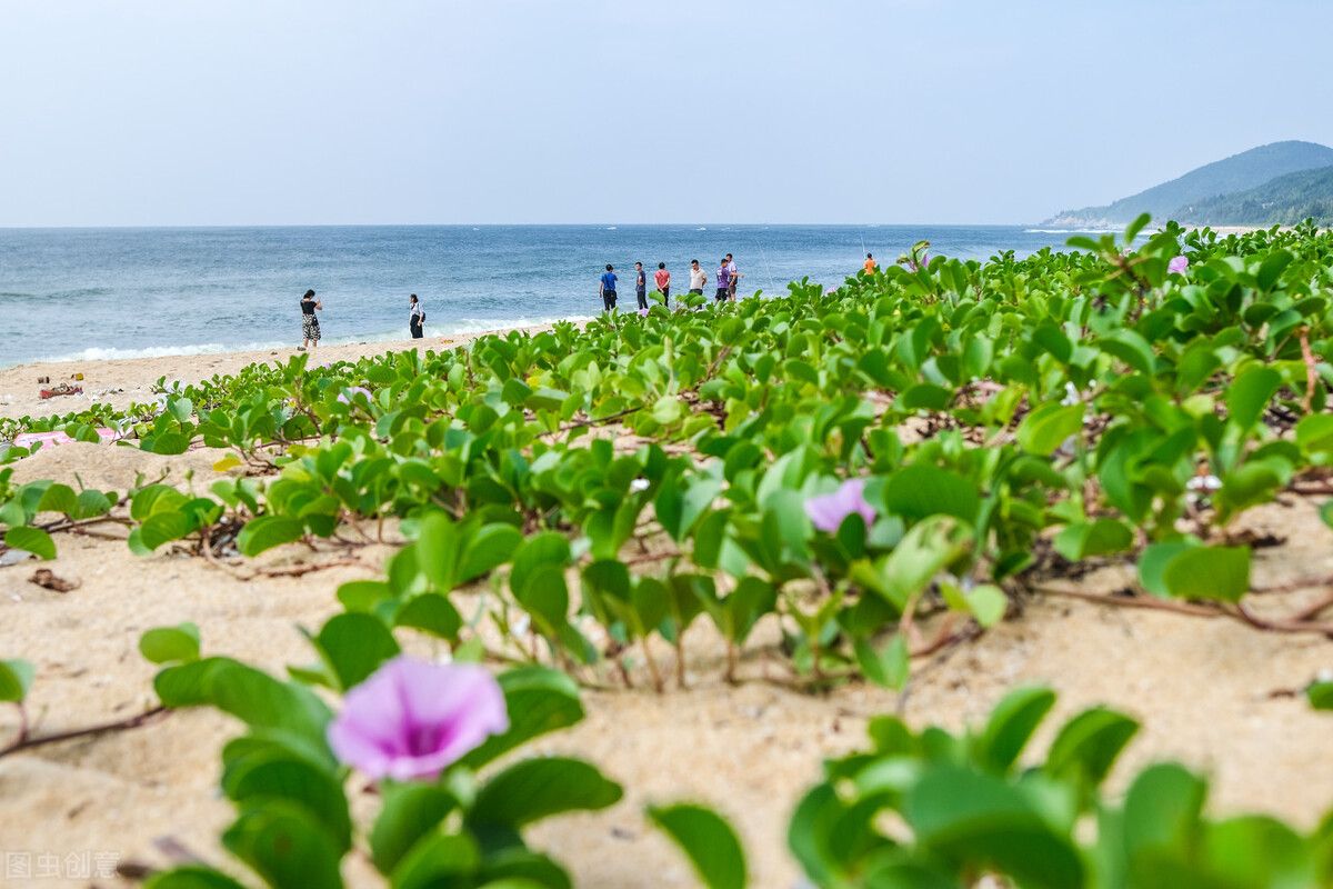 阳江旅游景点（阳江海陵岛最值得去的十大海滩）-第15张图片