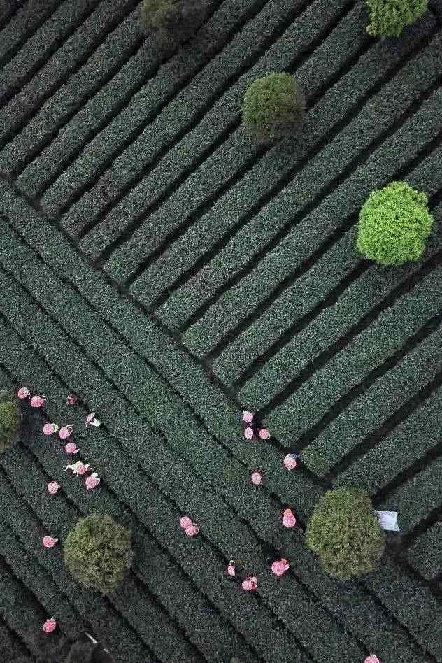 贵州游玩攻略（去贵州旅游必看指南）-第18张图片