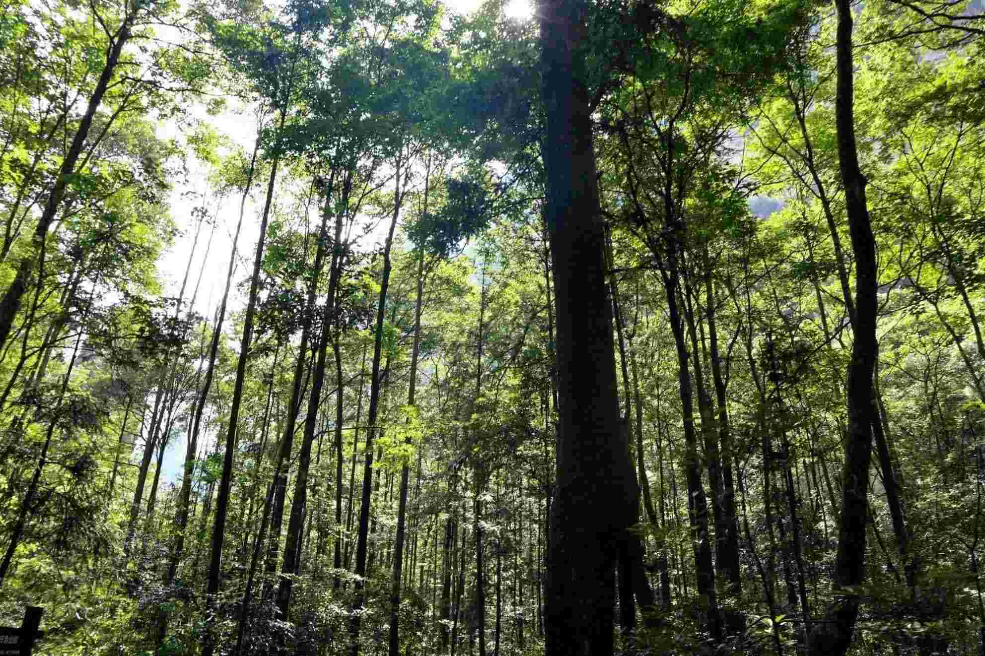 天门山旅游攻略（张家界天门山旅游度假攻略）-第4张图片