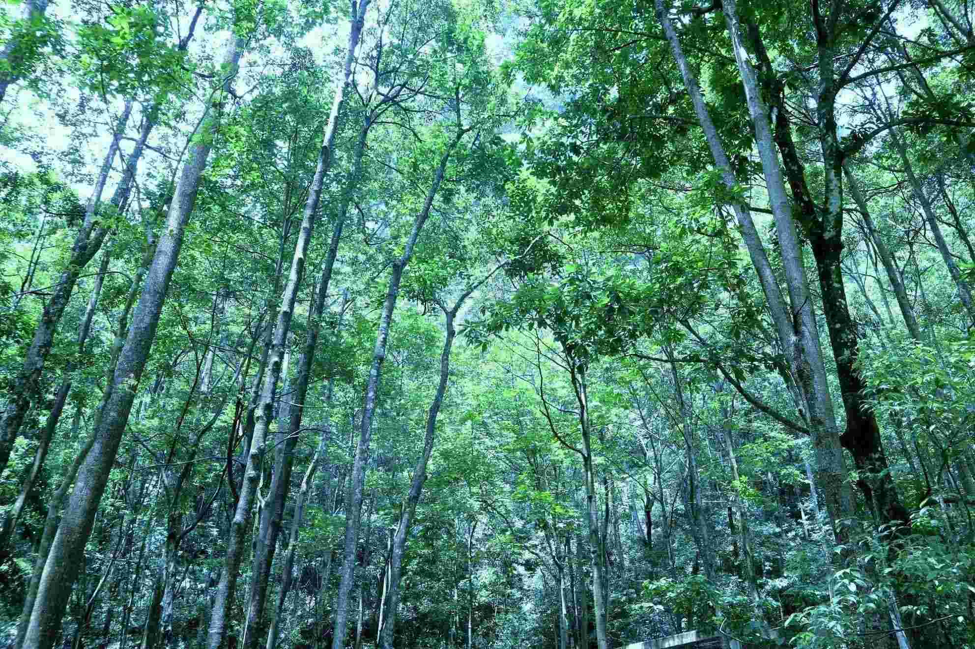 天门山旅游攻略（张家界天门山旅游度假攻略）-第7张图片