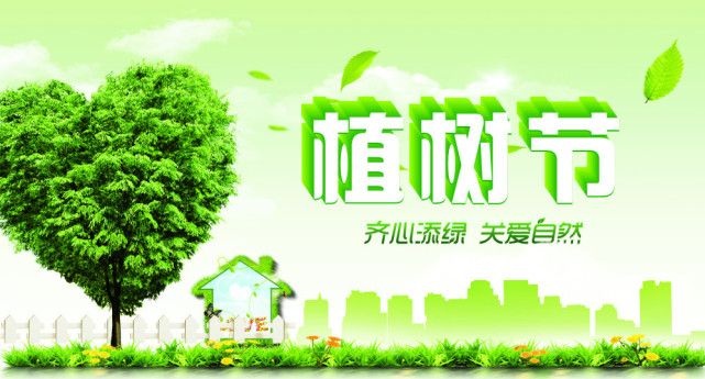 关于植树的作文（十篇关于植树节的作文合集）-第2张图片