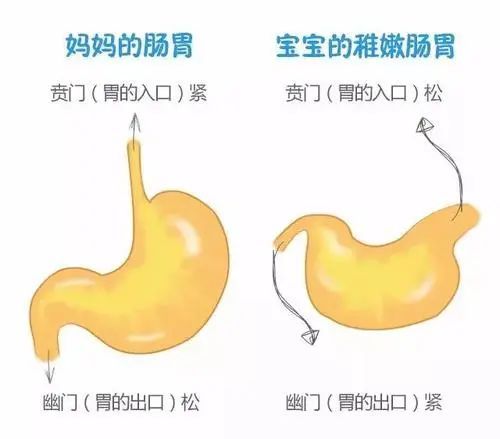 婴儿吐奶严重怎么办（宝宝吐奶怎么办？）-第1张图片