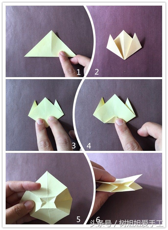 郁金香的折法（郁金香的立体折法）-第2张图片
