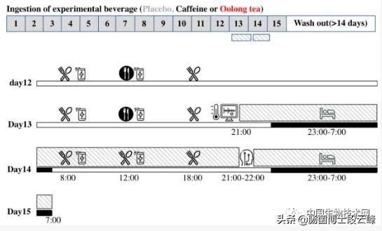 乌龙茶减肥（日本研究发现喝乌龙茶能减肥？）-第3张图片
