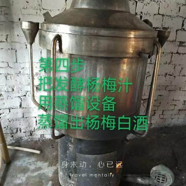 杨梅酒的做法（酿杨梅酒的制作流程）-第5张图片