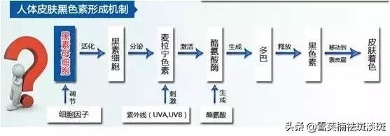 简单祛斑方法(如何在家自己祛斑?)-第2张图片 简单祛斑方法(如何在家自己祛斑?)-第2张图片