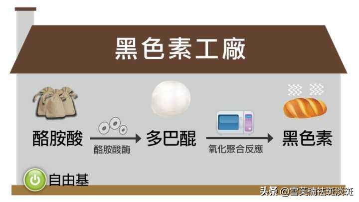 简单祛斑方法(如何在家自己祛斑?)-第3张图片 简单祛斑方法(如何在家自己祛斑?)-第3张图片