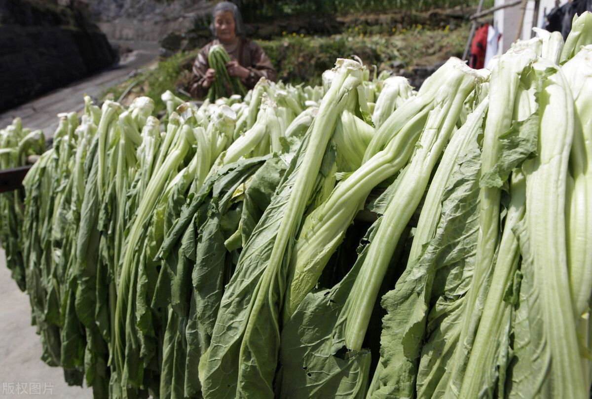 怎样腌酸菜（腌酸菜最简单快速的做法）-第3张图片