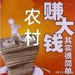 创业商机小生意（六个非常赚钱的偏门生意）-第1张图片