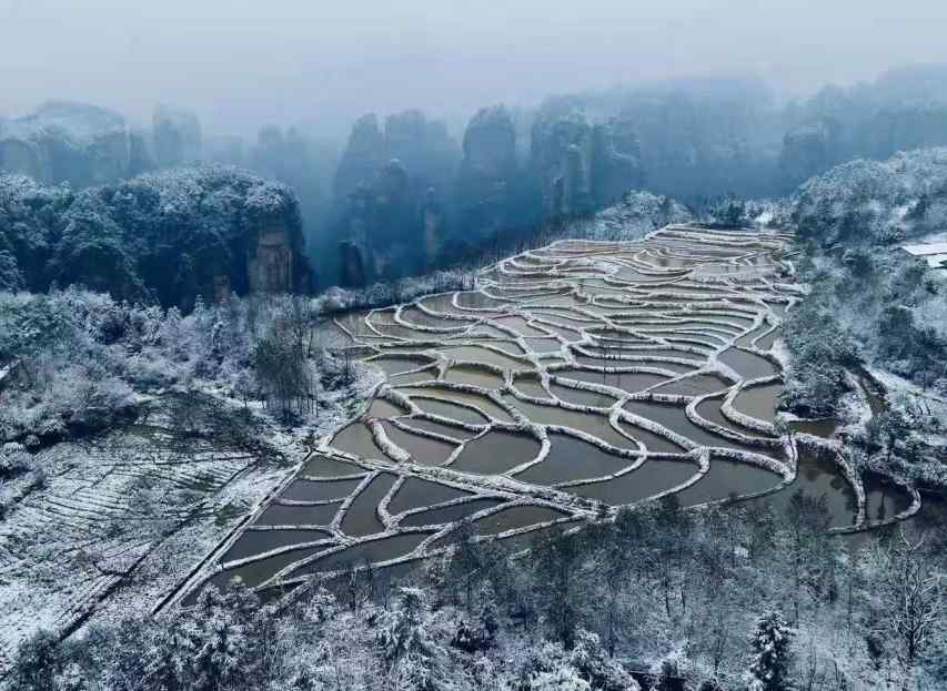 湖南张家界旅游景点（张家界必去景点！）-第4张图片