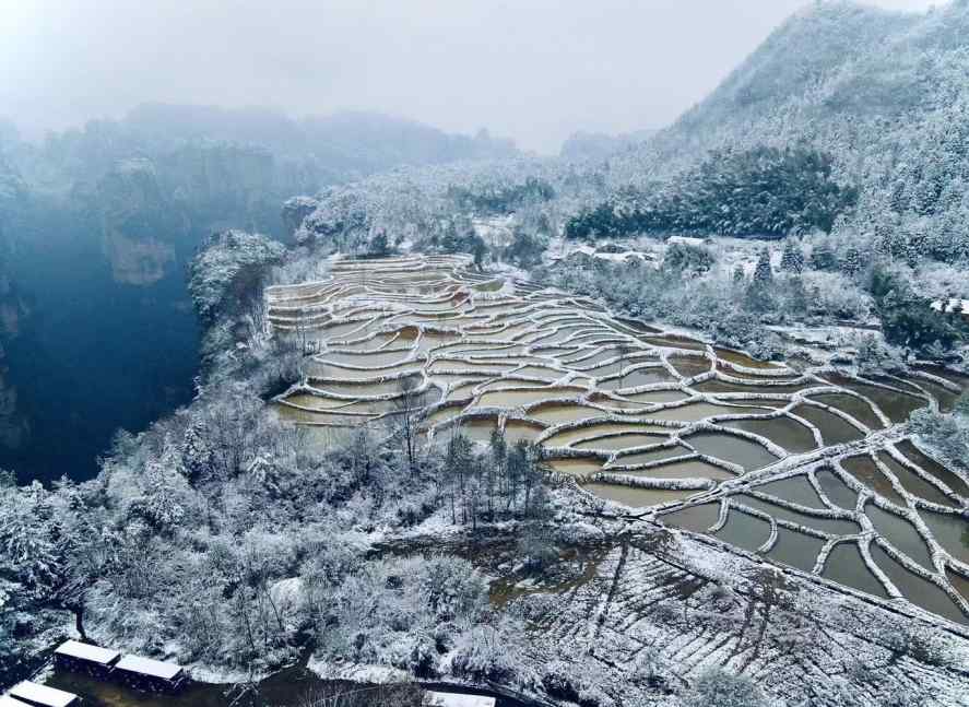 湖南张家界旅游景点（张家界必去景点！）-第5张图片